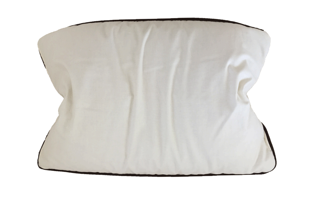 Buckwheat Hull Bed Pillow