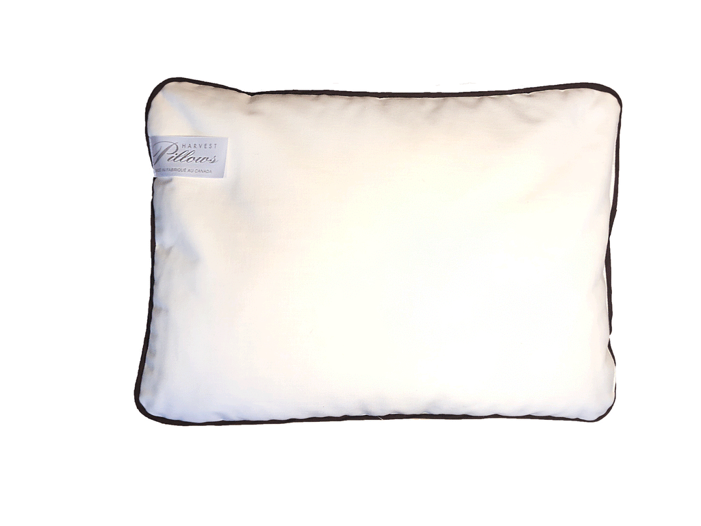 Buckwheat Hull Travel Pillow